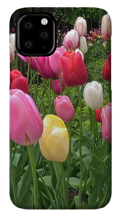 Home Chicago Tulips - Phone Case