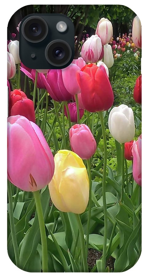 Home Chicago Tulips - Phone Case