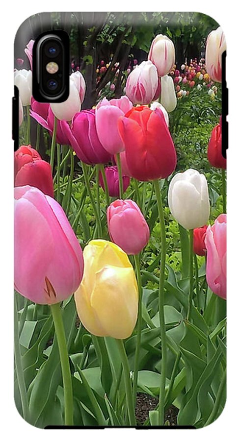 Home Chicago Tulips - Phone Case