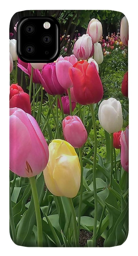 Home Chicago Tulips - Phone Case