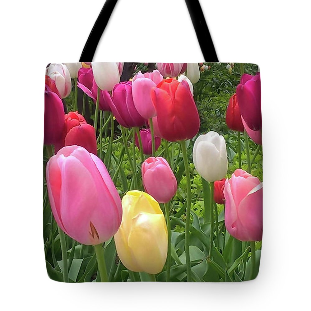 Home Chicago Tulips - Tote Bag