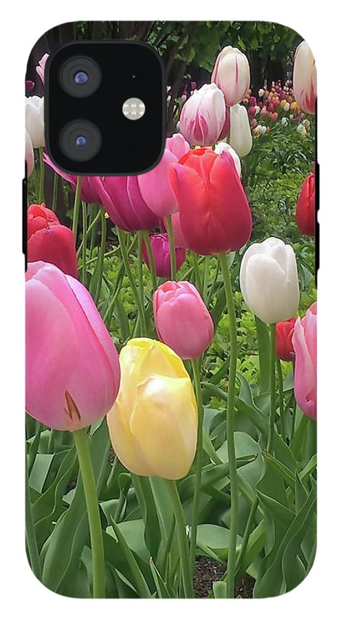 Home Chicago Tulips - Phone Case