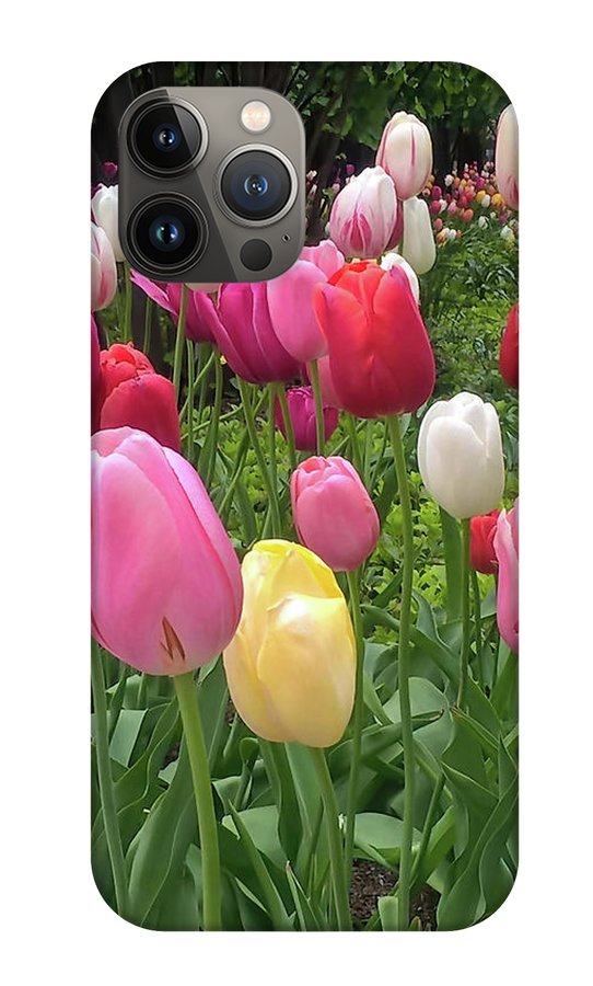 Home Chicago Tulips - Phone Case