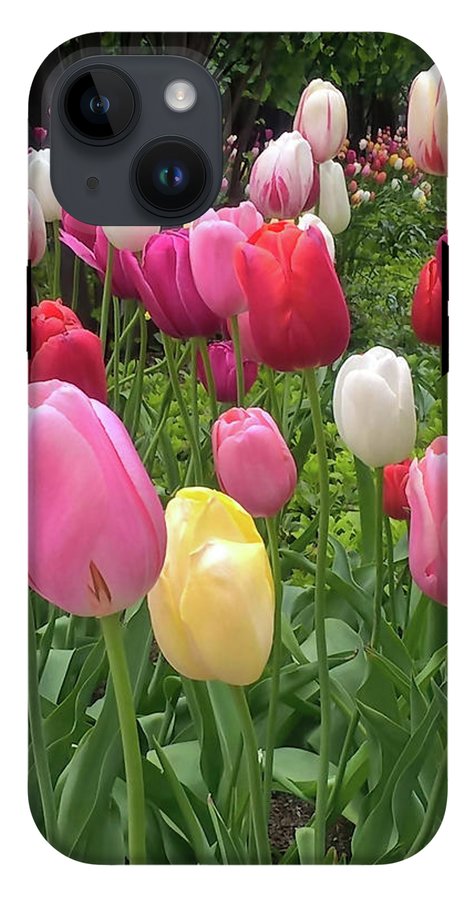 Home Chicago Tulips - Phone Case