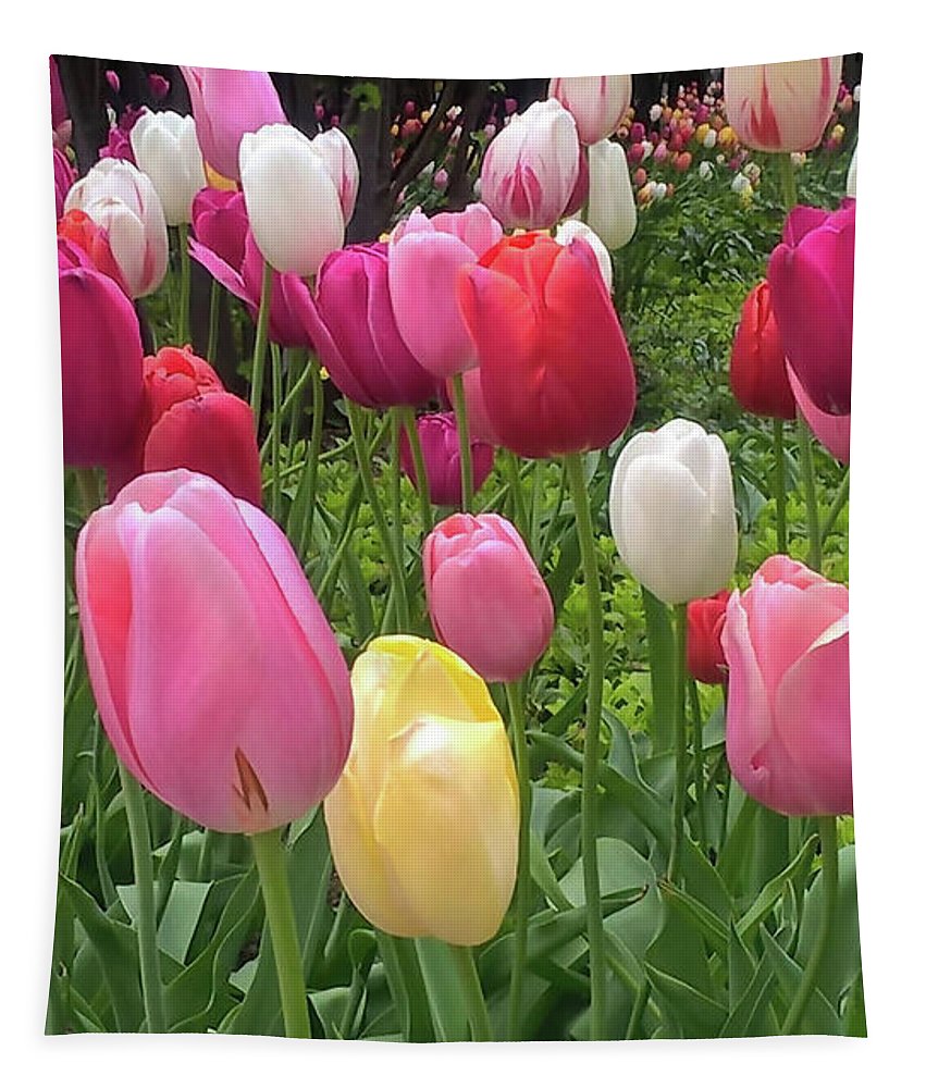 Home Chicago Tulips - Tapestry