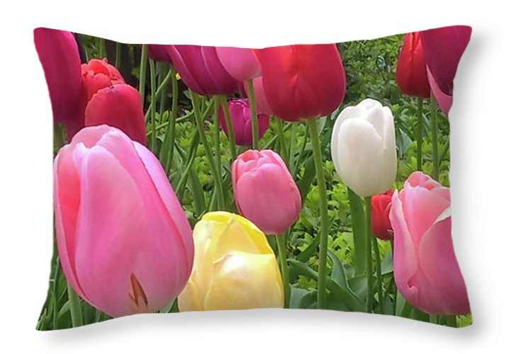 Home Chicago Tulips - Throw Pillow