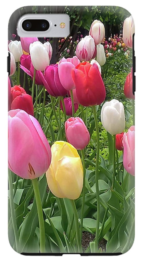 Home Chicago Tulips - Phone Case