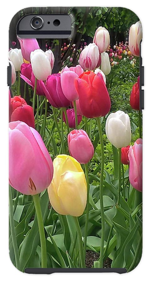 Home Chicago Tulips - Phone Case