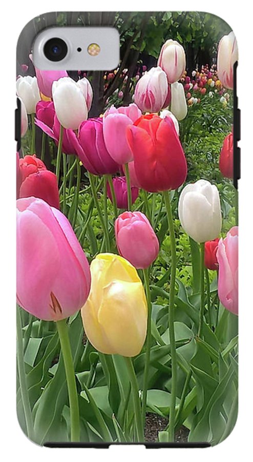 Home Chicago Tulips - Phone Case