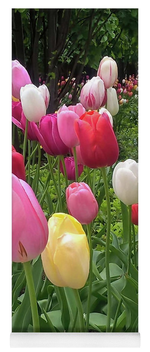 Home Chicago Tulips - Yoga Mat
