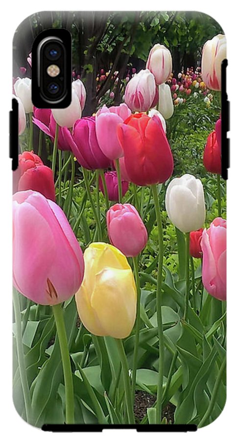 Home Chicago Tulips - Phone Case