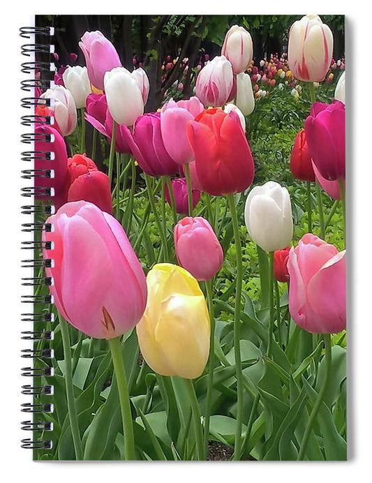 Home Chicago Tulips - Spiral Notebook