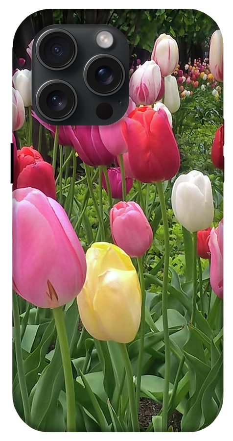 Home Chicago Tulips - Phone Case