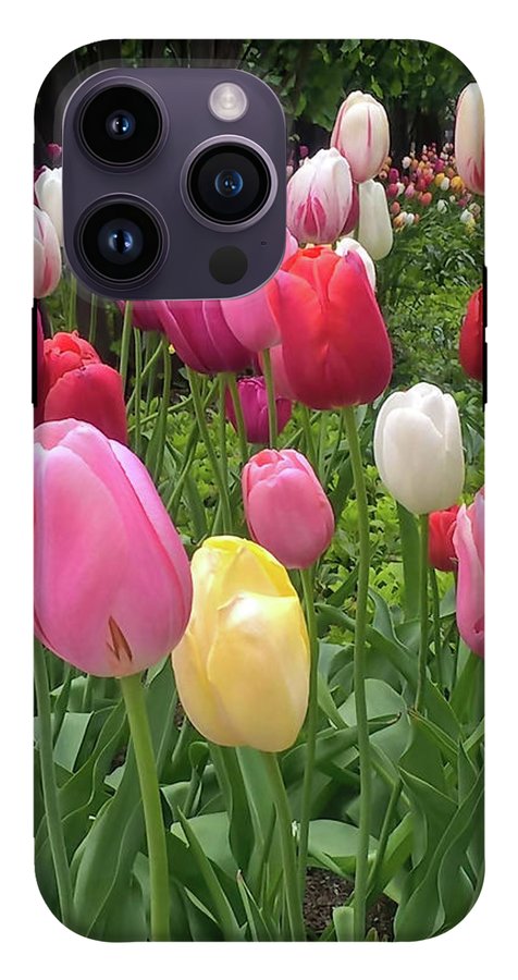 Home Chicago Tulips - Phone Case