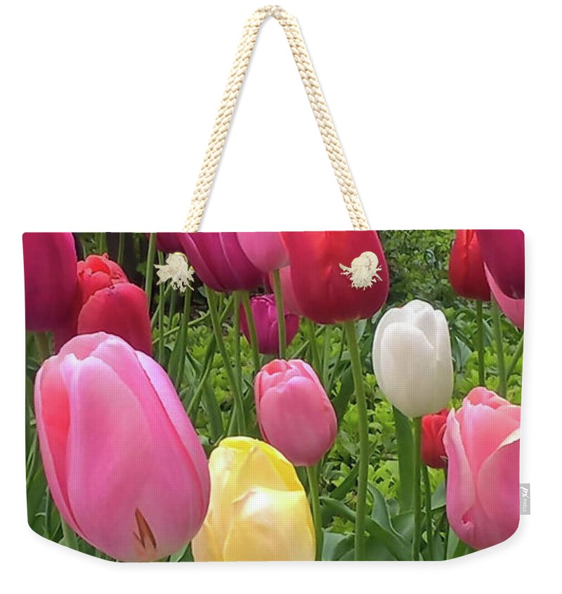Home Chicago Tulips - Weekender Tote Bag