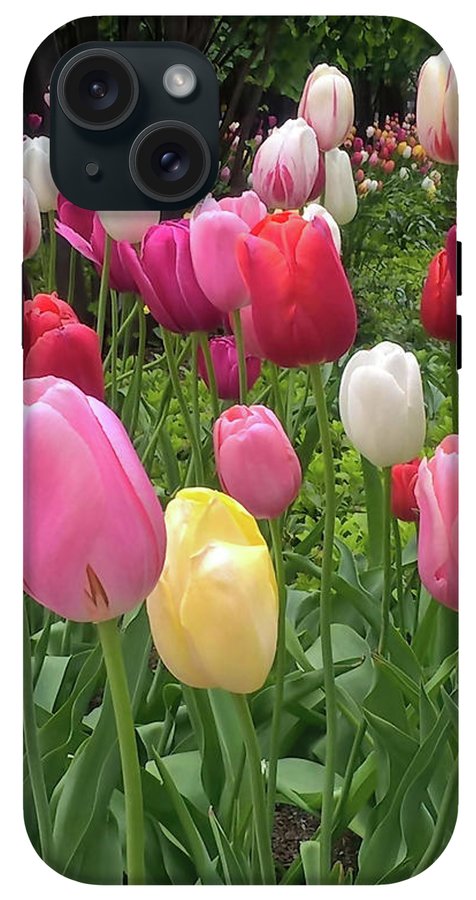 Home Chicago Tulips - Phone Case