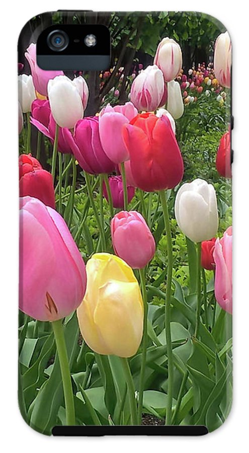 Home Chicago Tulips - Phone Case