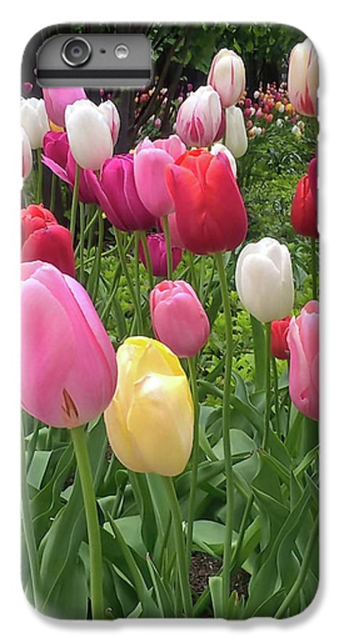 Home Chicago Tulips - Phone Case