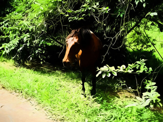 Horse In The Tropics Digital Image Download