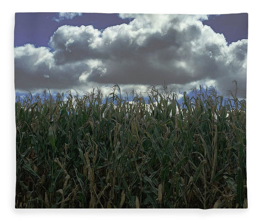 Illinois Corn - Blanket
