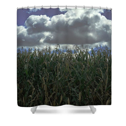 Illinois Corn - Shower Curtain