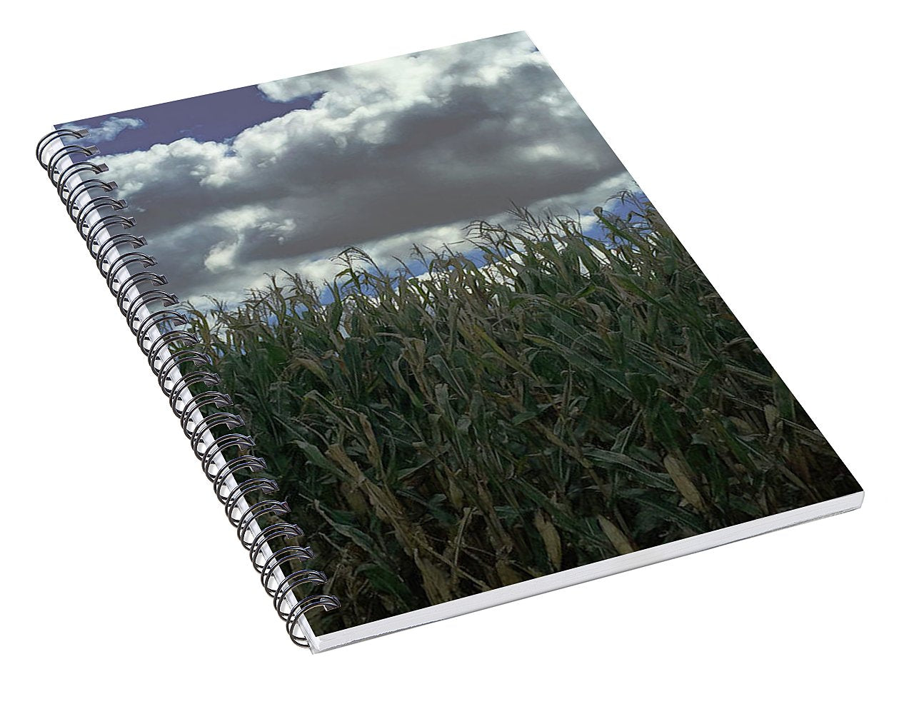 Illinois Corn - Spiral Notebook
