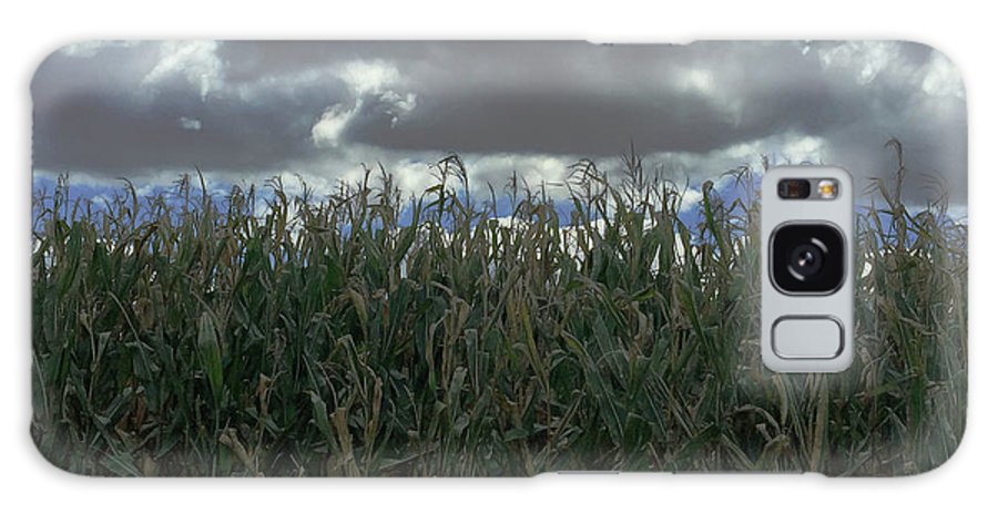 Illinois Corn - Phone Case