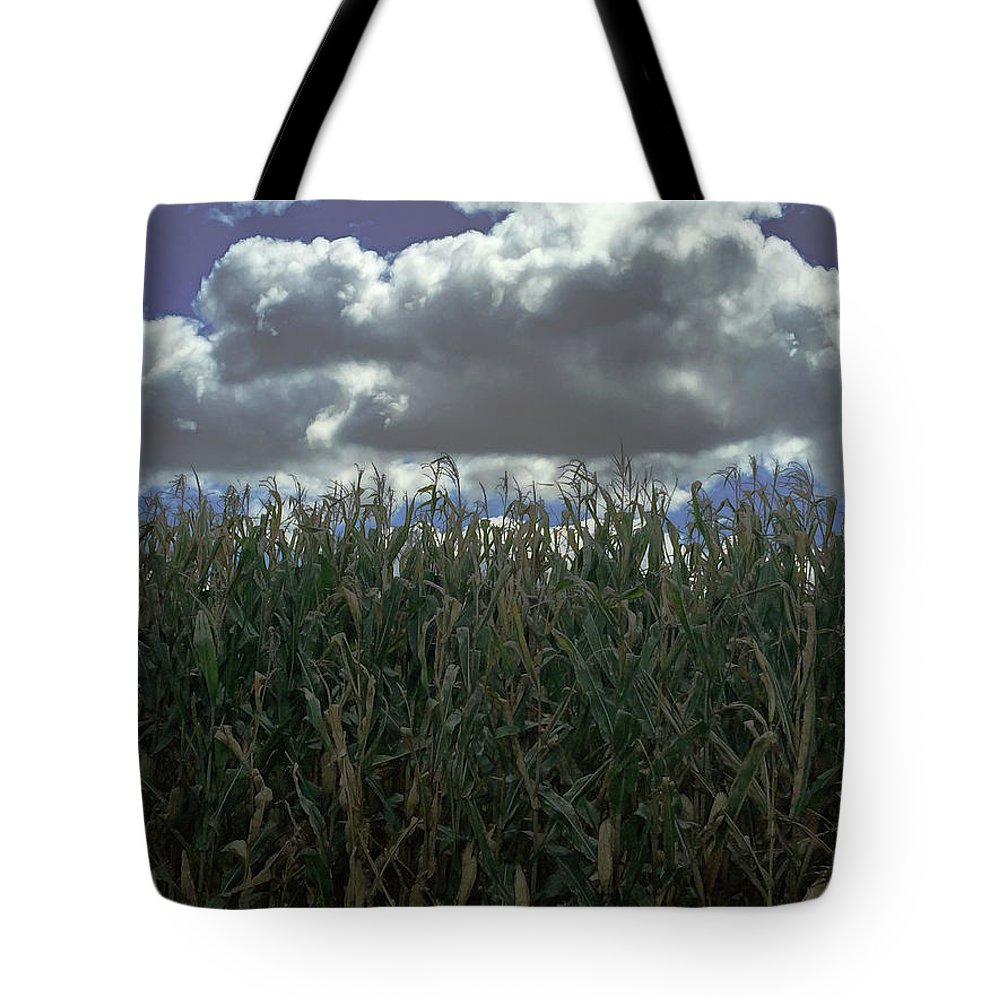 Illinois Corn - Tote Bag