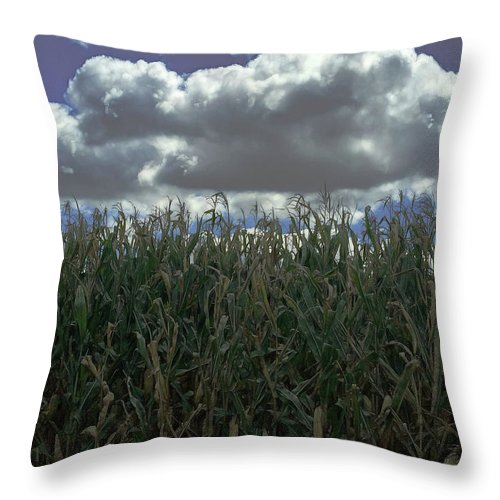 Illinois Corn - Throw Pillow