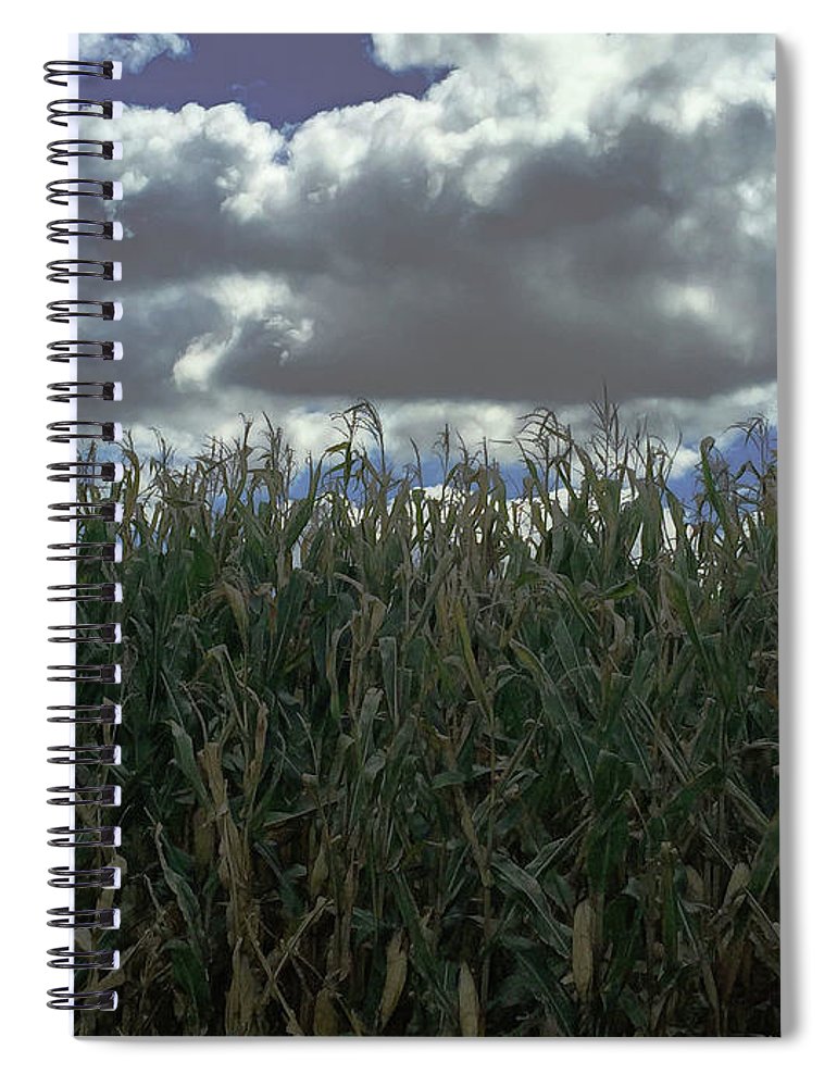 Illinois Corn - Spiral Notebook