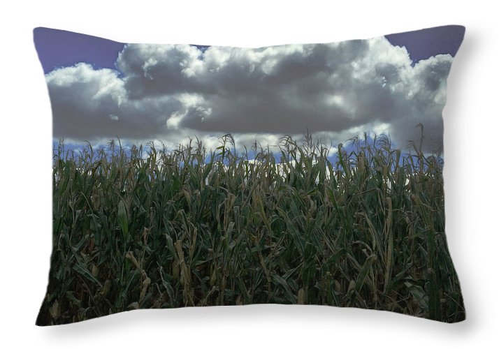 Illinois Corn - Throw Pillow