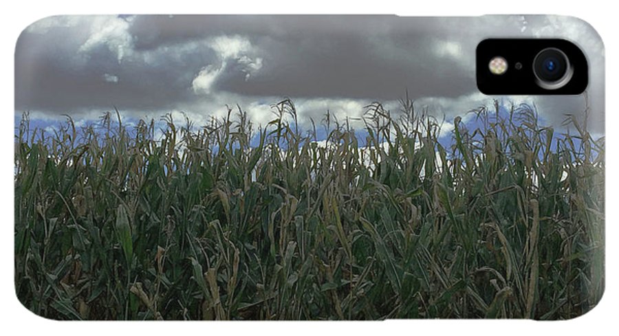 Illinois Corn - Phone Case