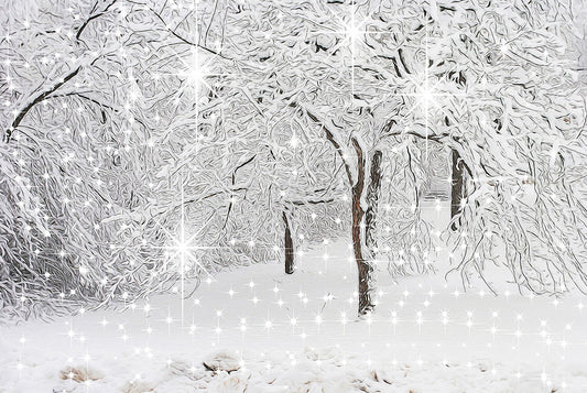 Sparkling Winter Landscape Digital Image Download