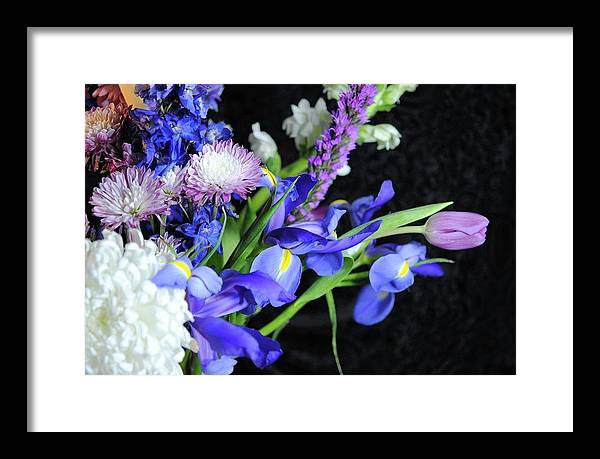 Iris Bouquet - Framed Print
