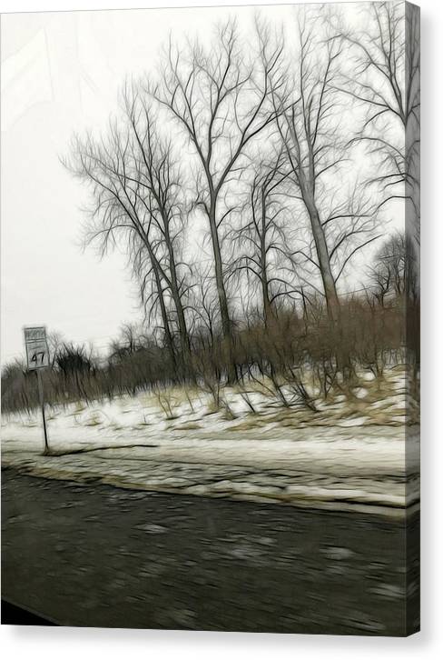 January Roadside  - Canvas Print