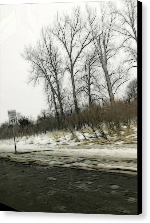 January Roadside  - Canvas Print