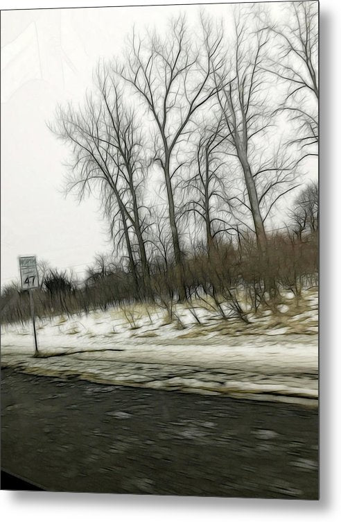 January Roadside  - Metal Print