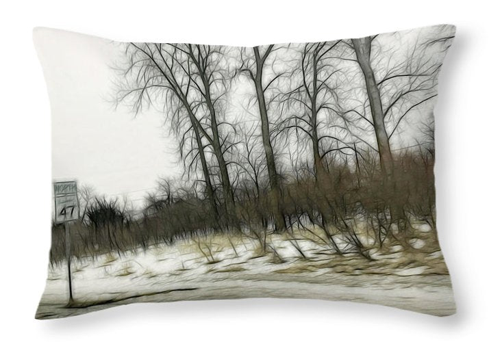 January Roadside  - Throw Pillow