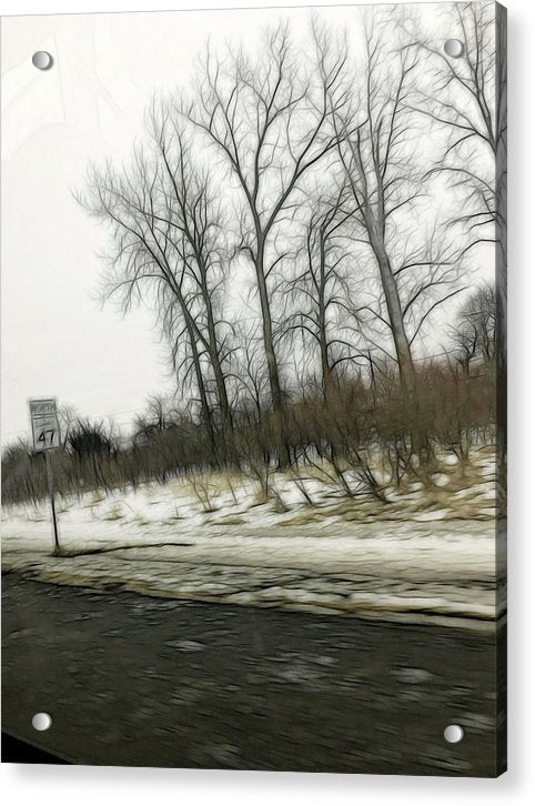 January Roadside  - Acrylic Print