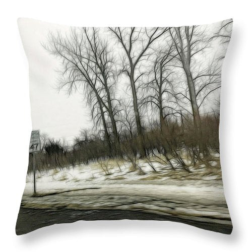 January Roadside  - Throw Pillow