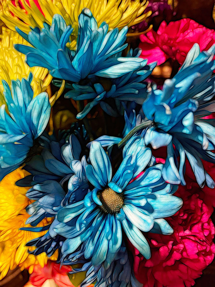 June Flowers 1 Digital Image Downloads