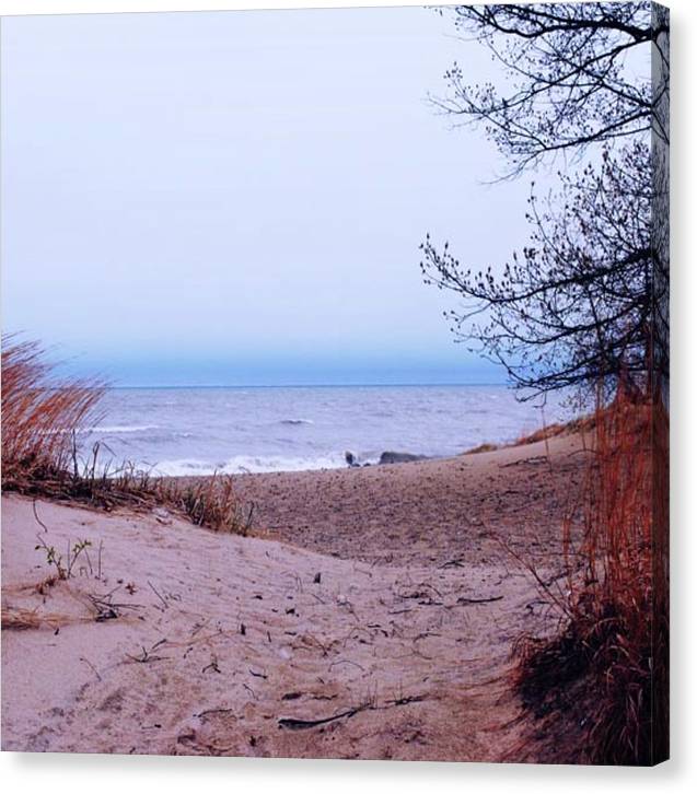 Lake Michigan Beach Dunes - Canvas Print