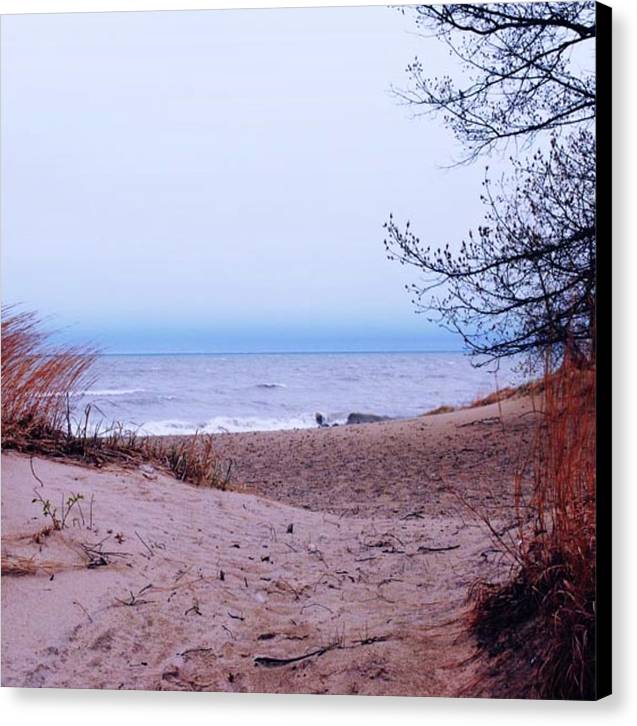 Lake Michigan Beach Dunes - Canvas Print