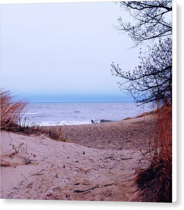 Lake Michigan Beach Dunes - Canvas Print