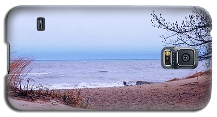 Lake Michigan Beach Dunes - Phone Case