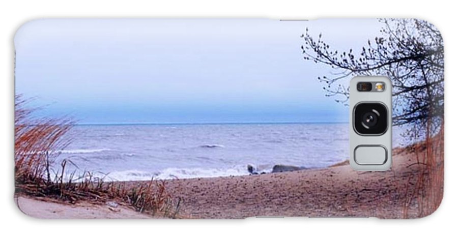 Lake Michigan Beach Dunes - Phone Case