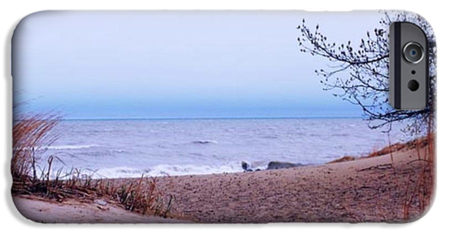 Lake Michigan Beach Dunes - Phone Case