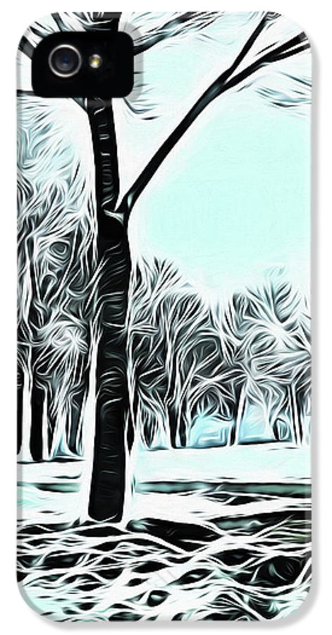 Lake Michigan In Winter - Phone Case