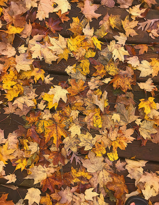Late October Leaves 3 Digital Image Download