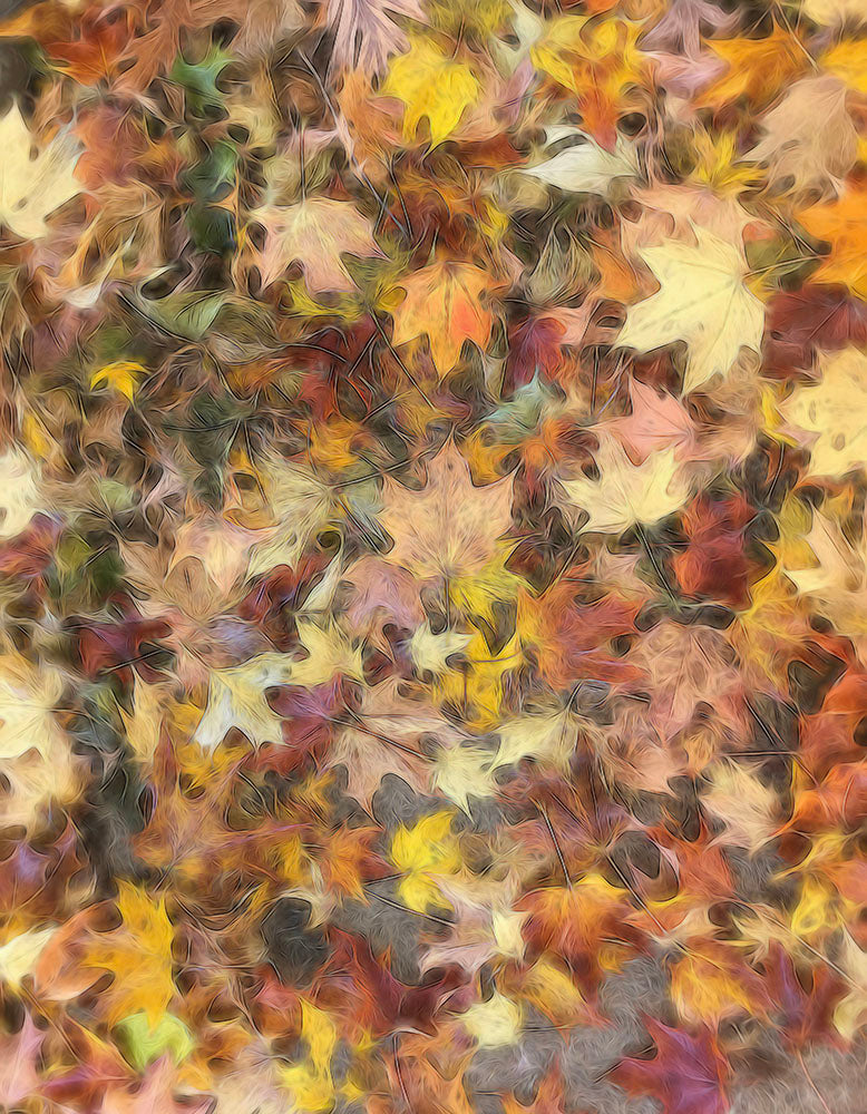 Late October Leaves Light Digital Image Download